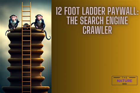 11 foot ladder paywall|12ft Ladder